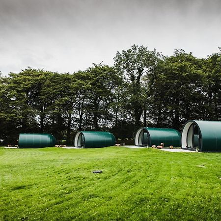Further Space At Thornfield Luxury Glamping Pods, The Dark Hedges, Ballycastle Ballymoney Εξωτερικό φωτογραφία