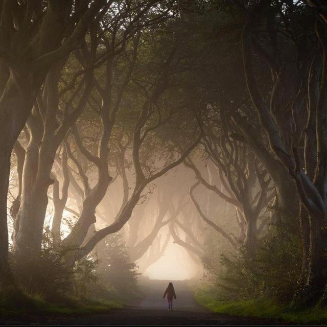 Further Space At Thornfield Luxury Glamping Pods, The Dark Hedges, Ballycastle Ballymoney Εξωτερικό φωτογραφία